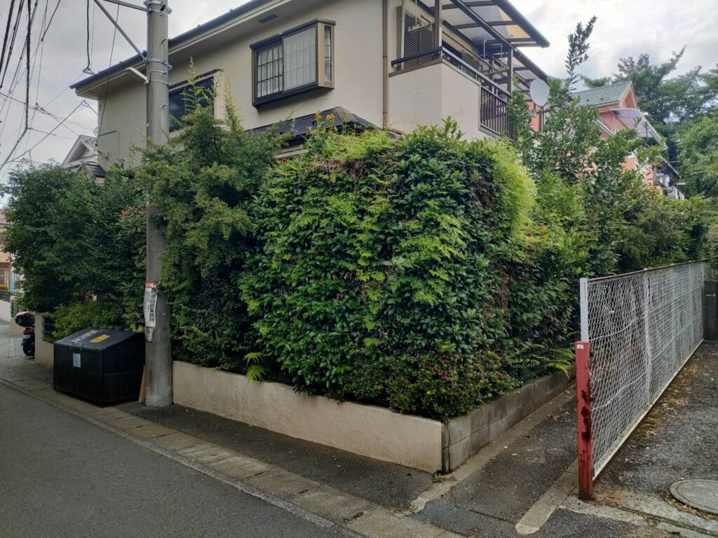 川崎市 T様宅｜剪定・除草 施工前