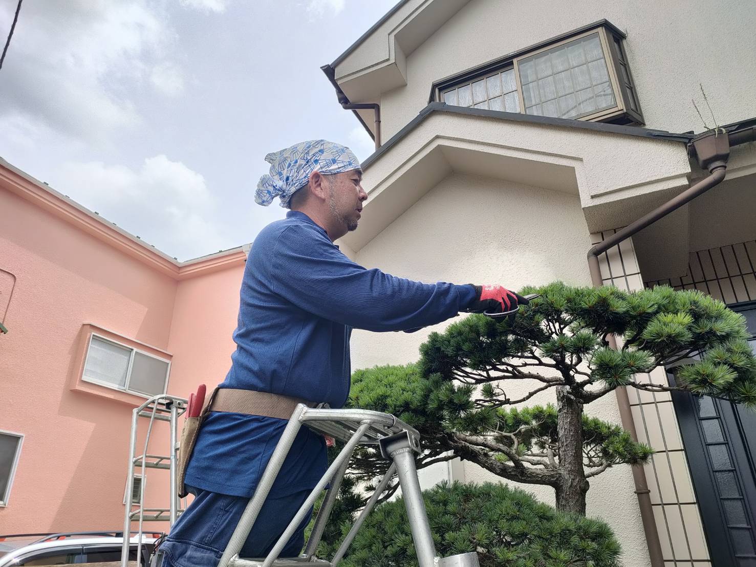 庭木のお手入れをするスタッフ