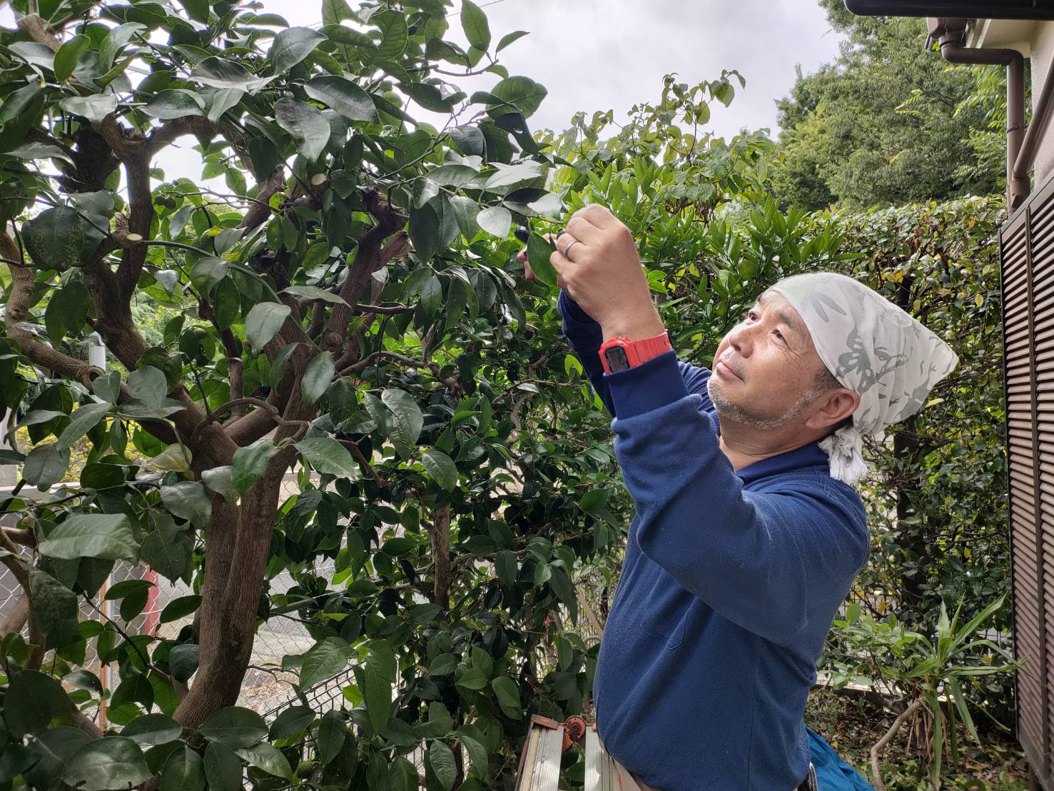 株式会社 庭のわ 代表取締役 永井徹