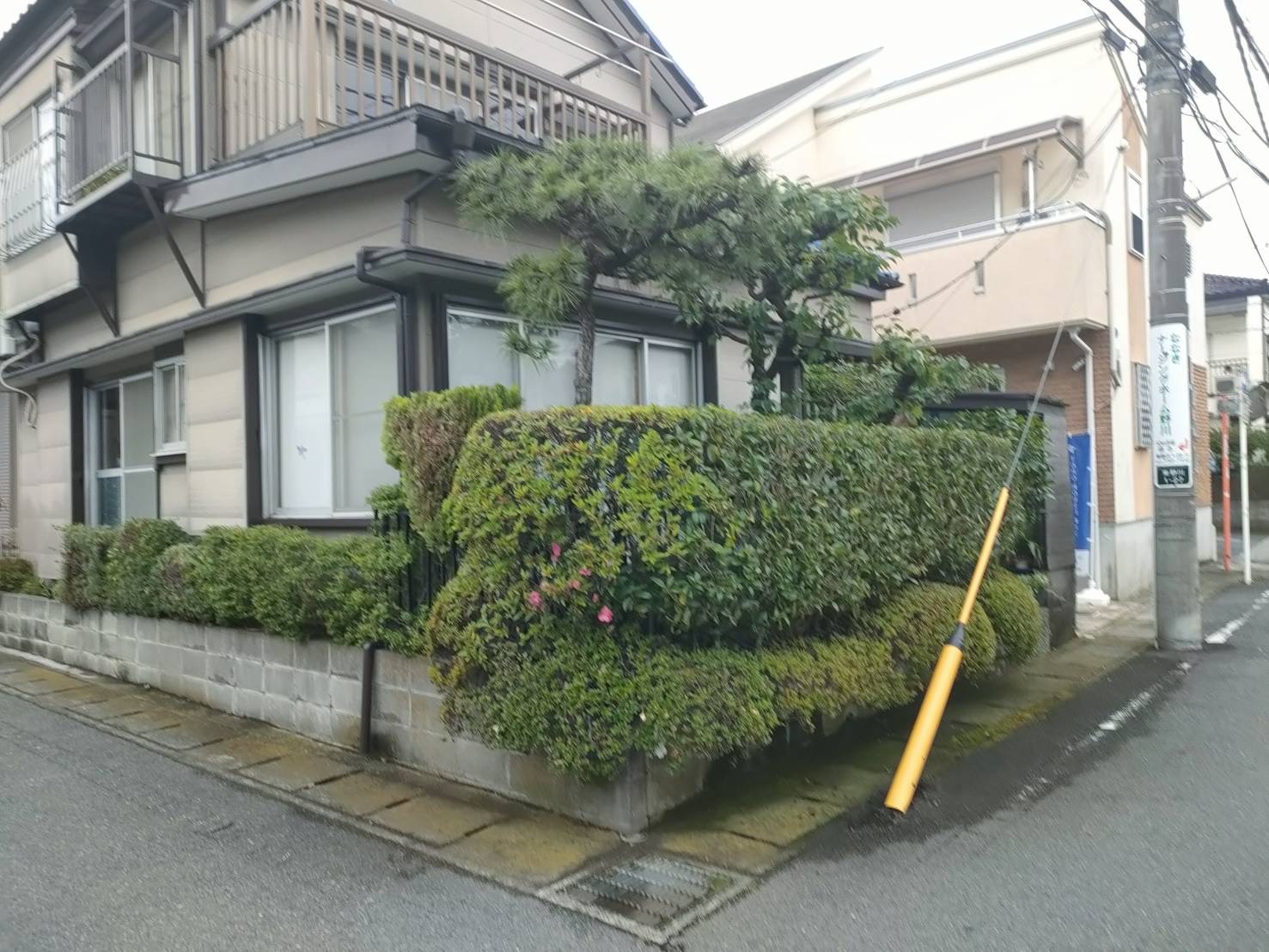 植木の剪定作業