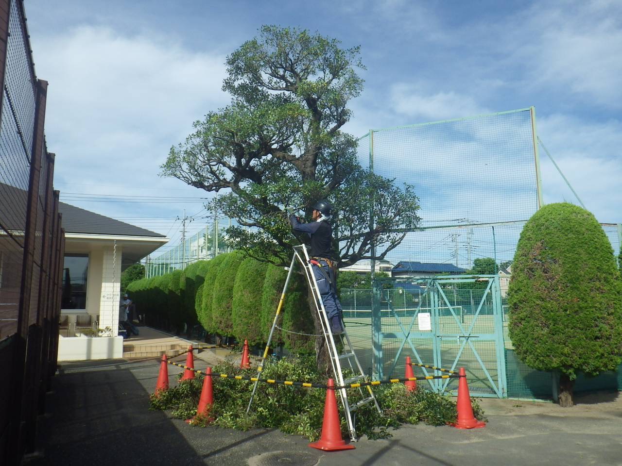 庭の作業風景
