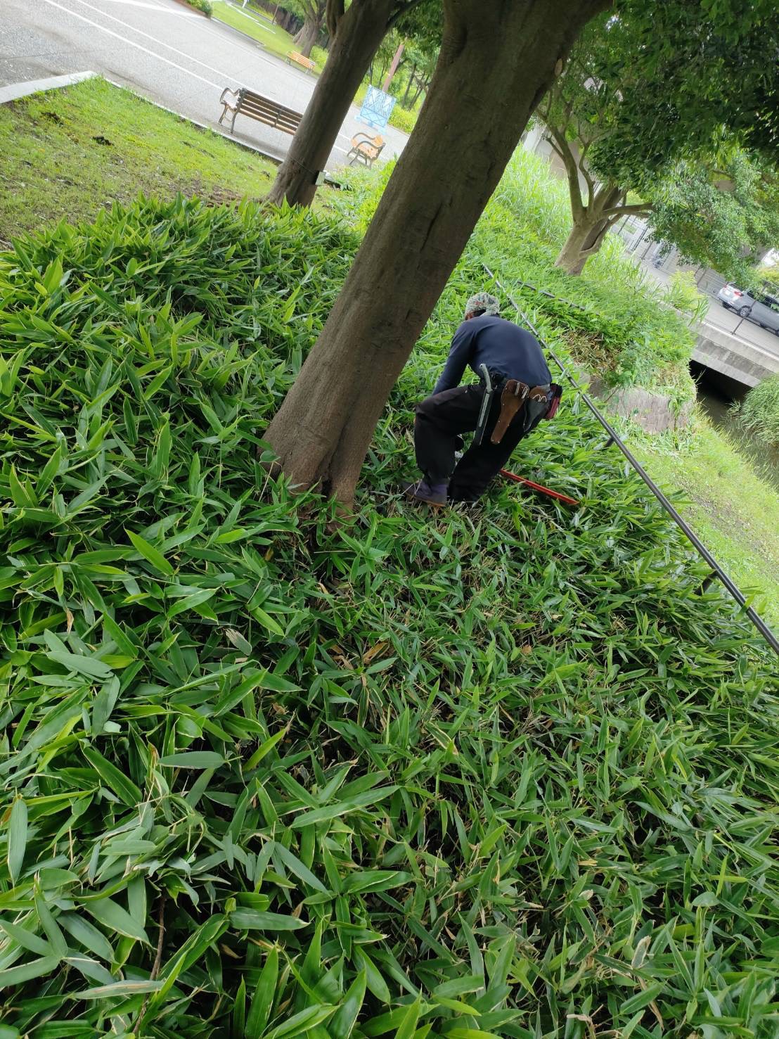 草刈り作業