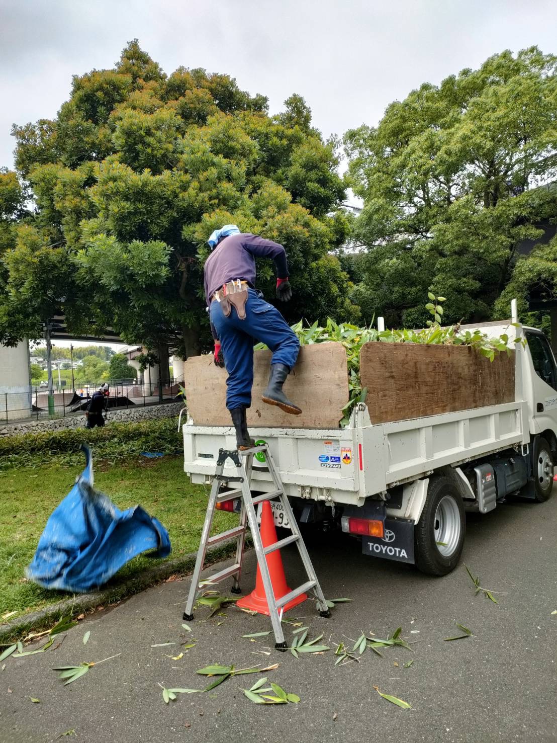 庭づくりの作業風景