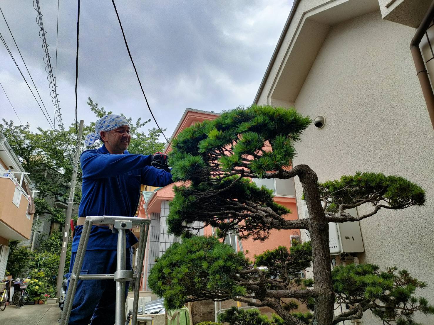 現場のトラック